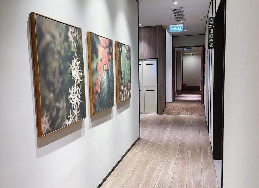 Hall Foto