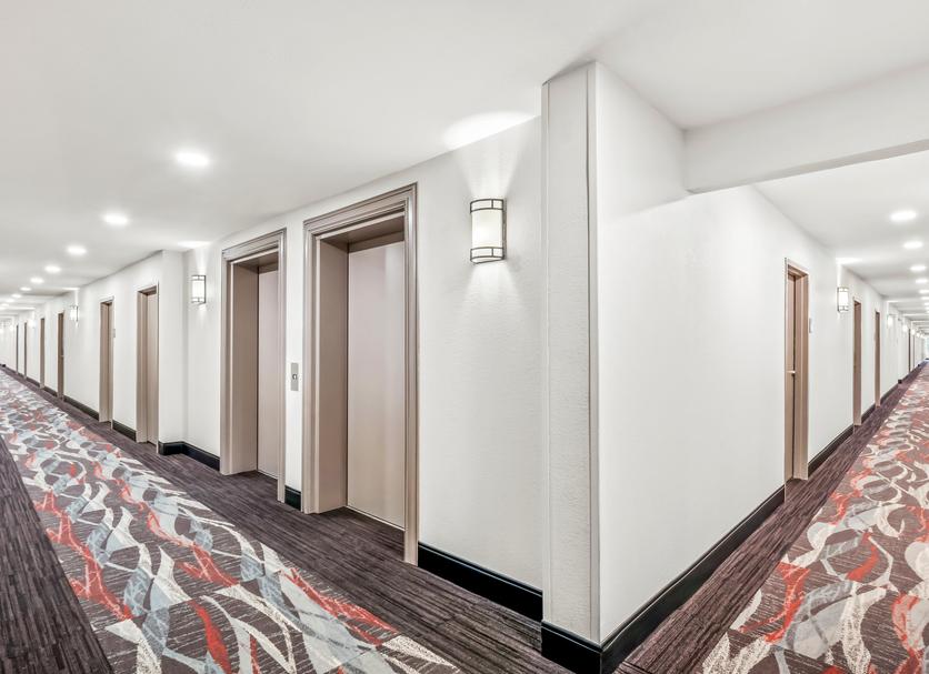 Hall Foto