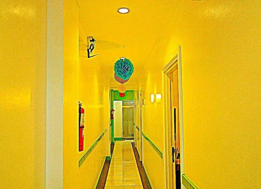 Hall Foto