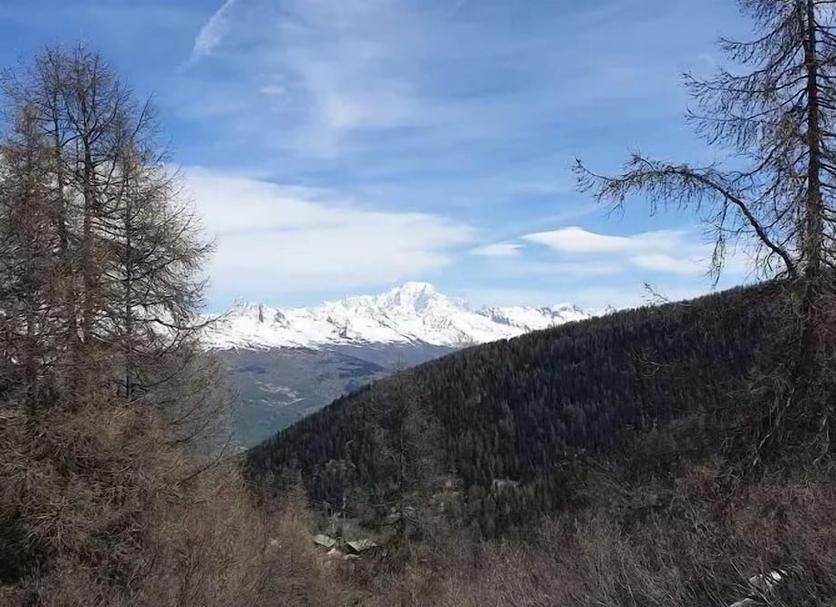 Utsikt Foto