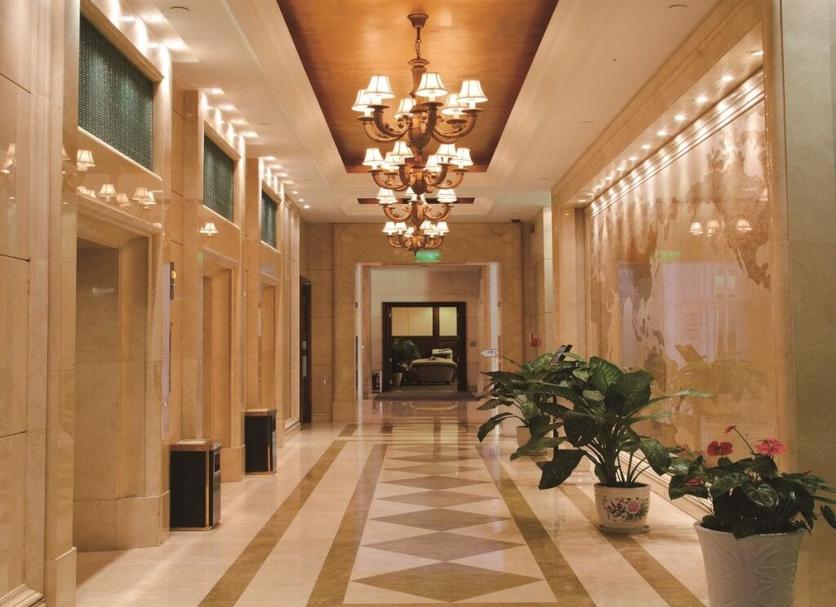 Hall Foto