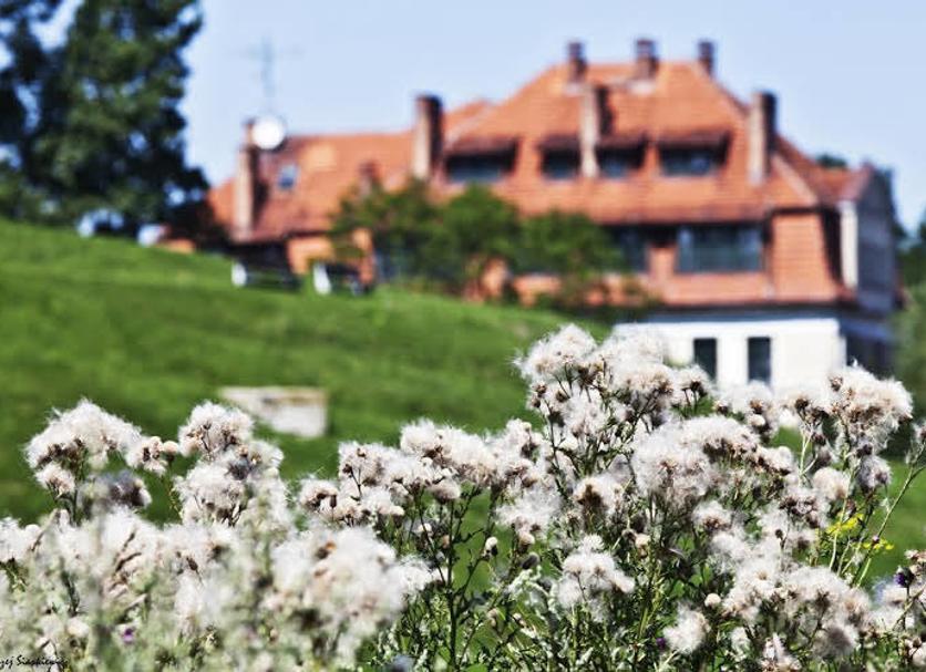 Utsikt Foto