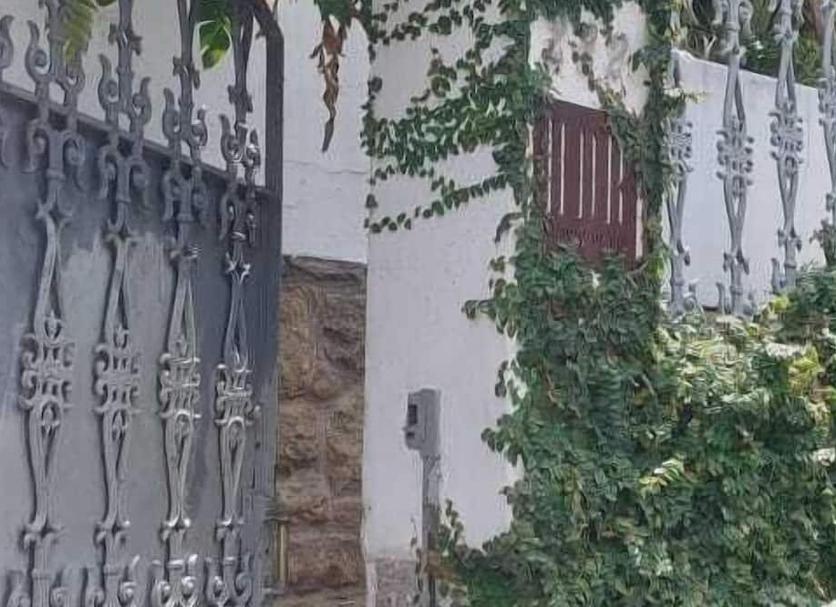 Utsikt Foto