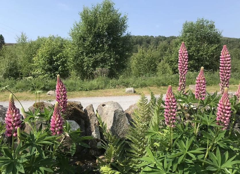 Utsikt Foto