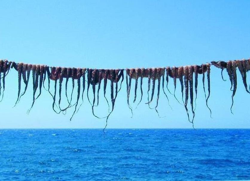 Strand Foto