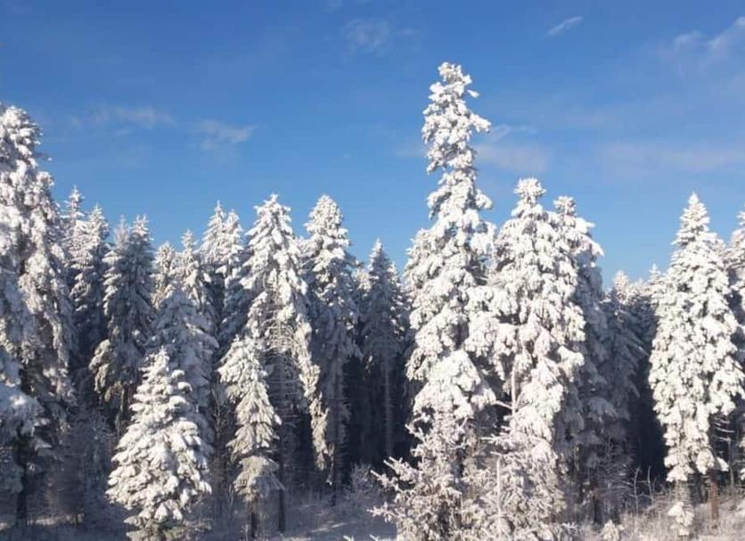 Utsikt Foto
