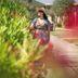 Annet