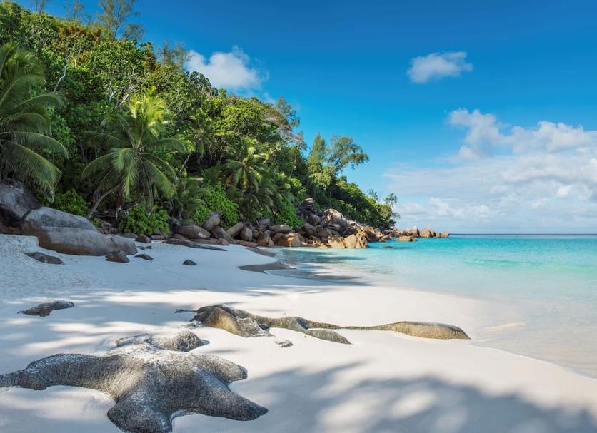 Strand Foto