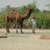 Annet