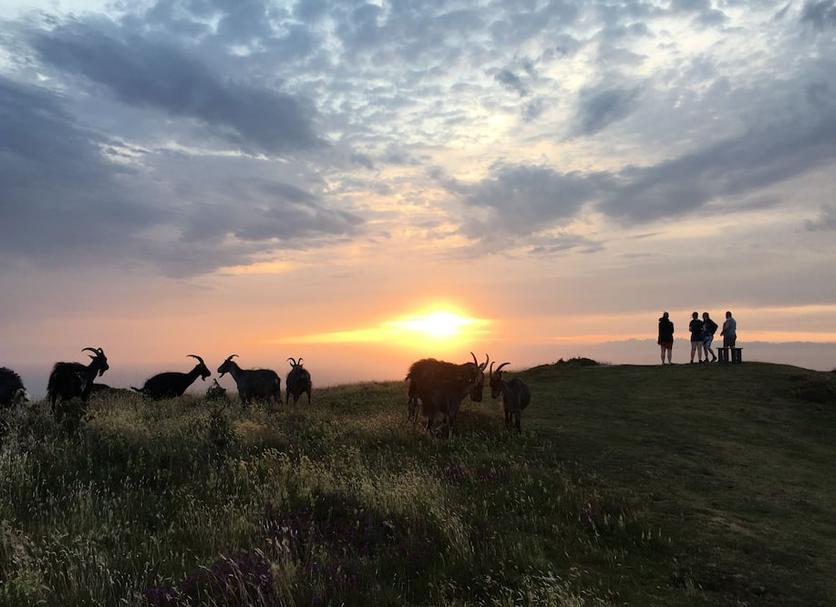 Utsikt Foto
