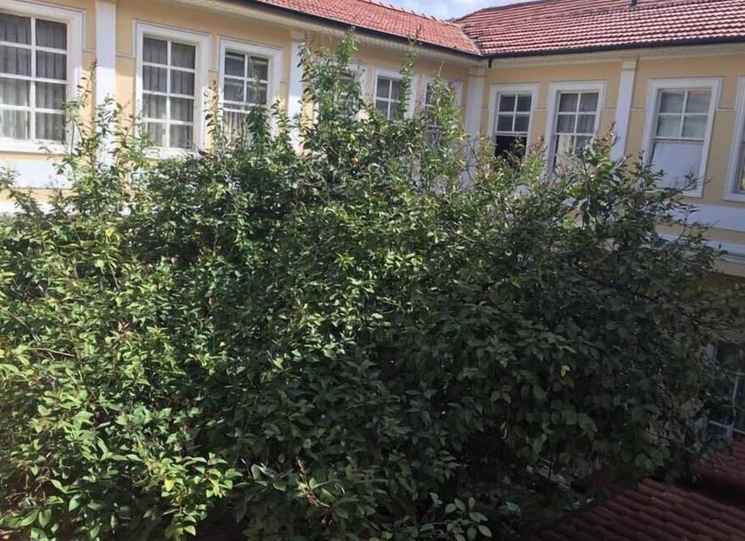 Utsikt Foto