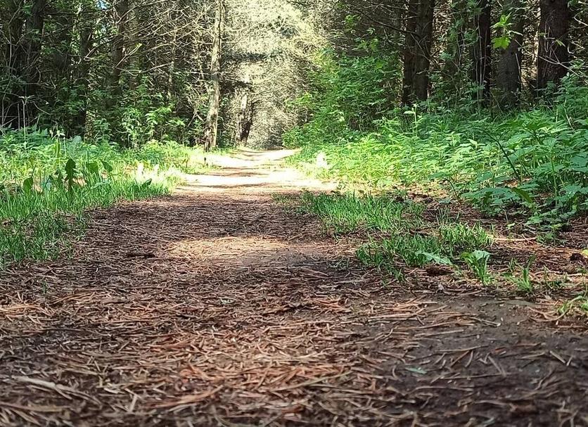 Utsikt Foto