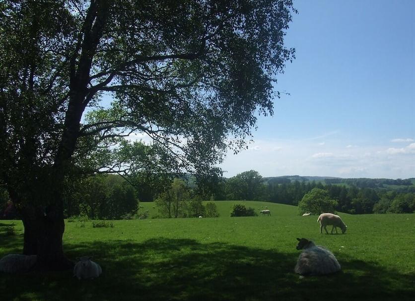 Utsikt Foto
