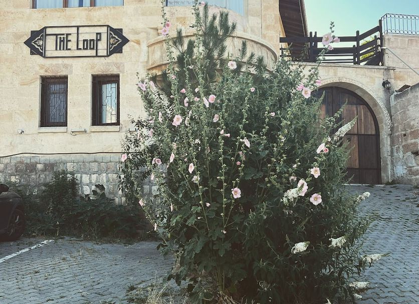 Utsikt Foto