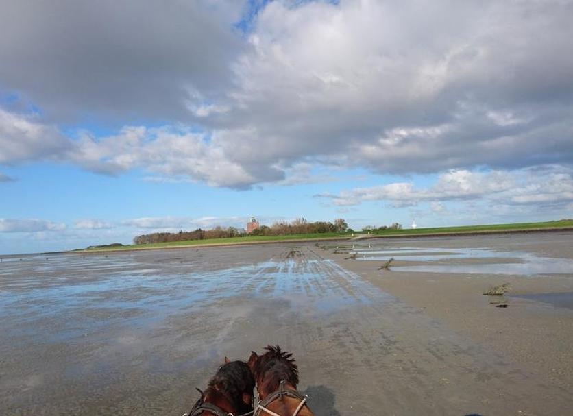 Strand Foto