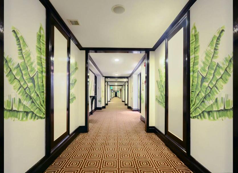Hall Foto