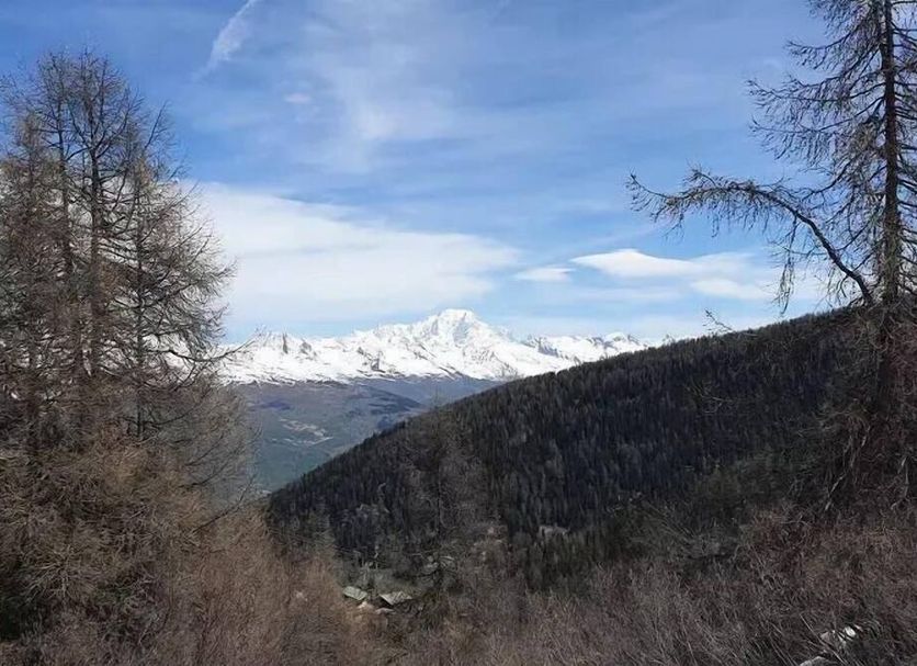 Utsikt Foto