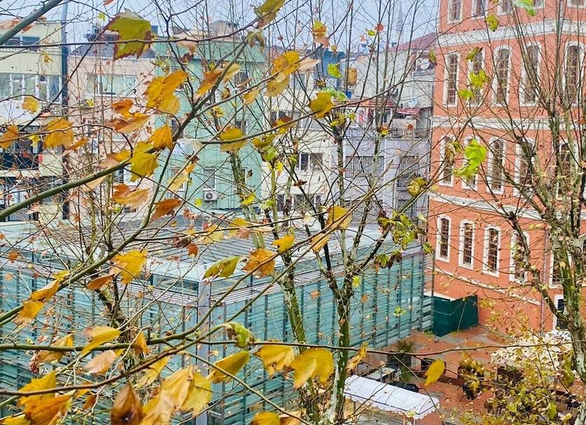 Utsikt Foto