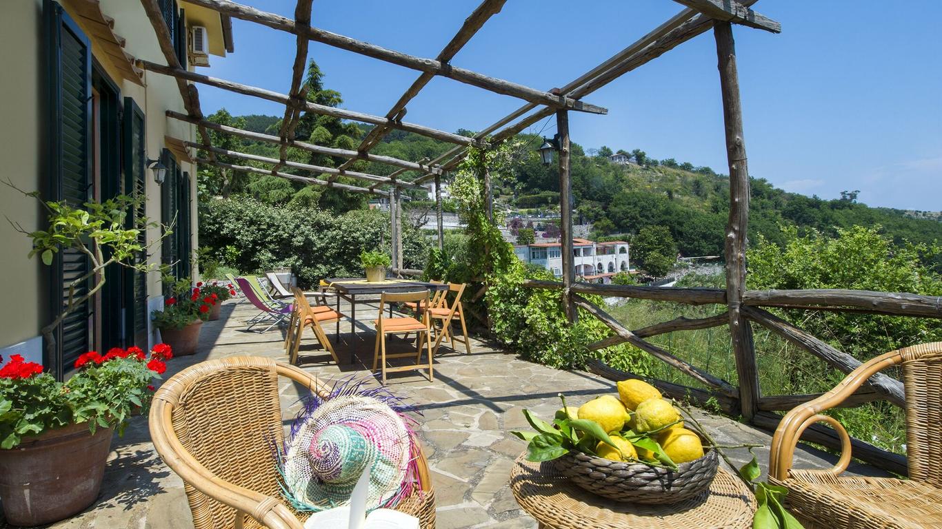 Agriturismo Fattoria Terranova