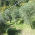 Annet