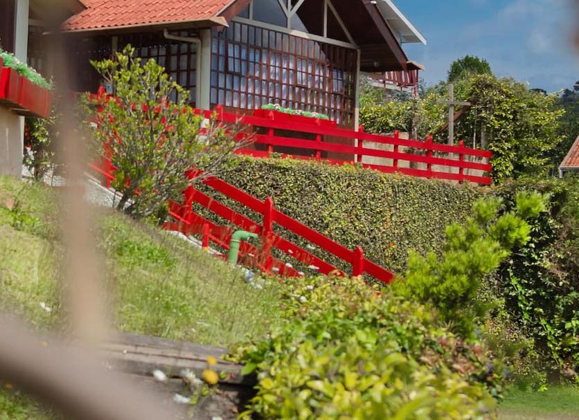 Utsikt Foto