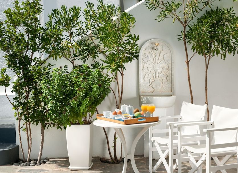Patio Foto