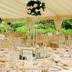 Banketthall