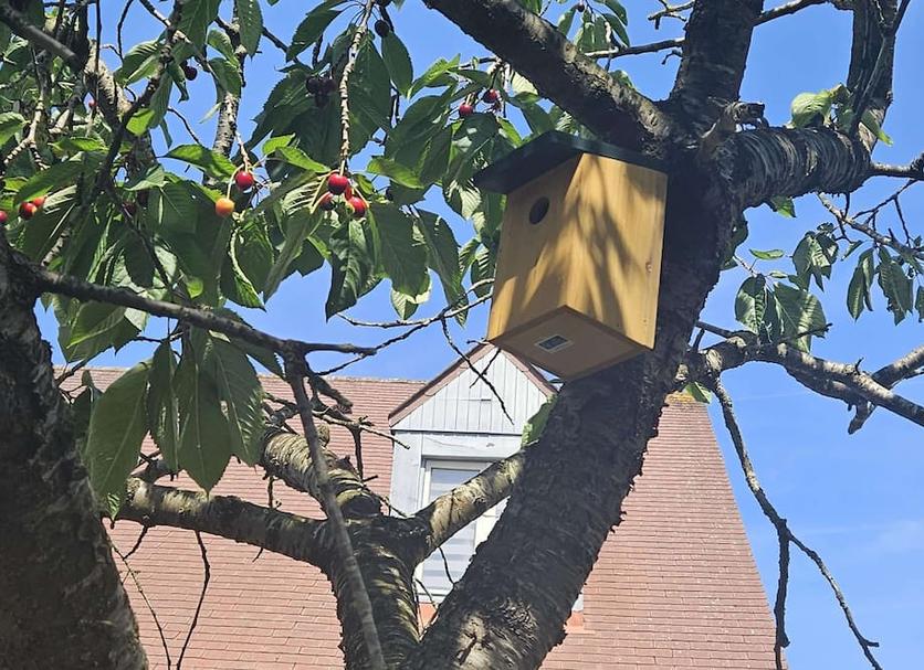 Utsikt Foto
