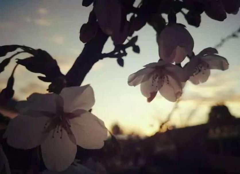 Annet Foto