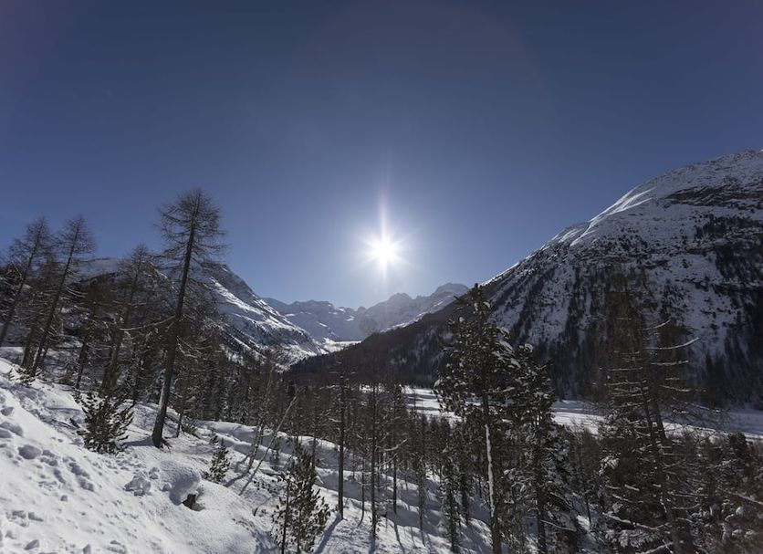 Utsikt Foto