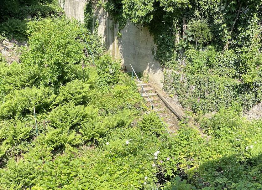 Utsikt Foto