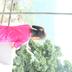 Annet
