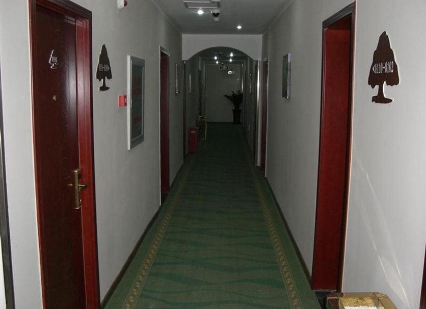 Hall Foto