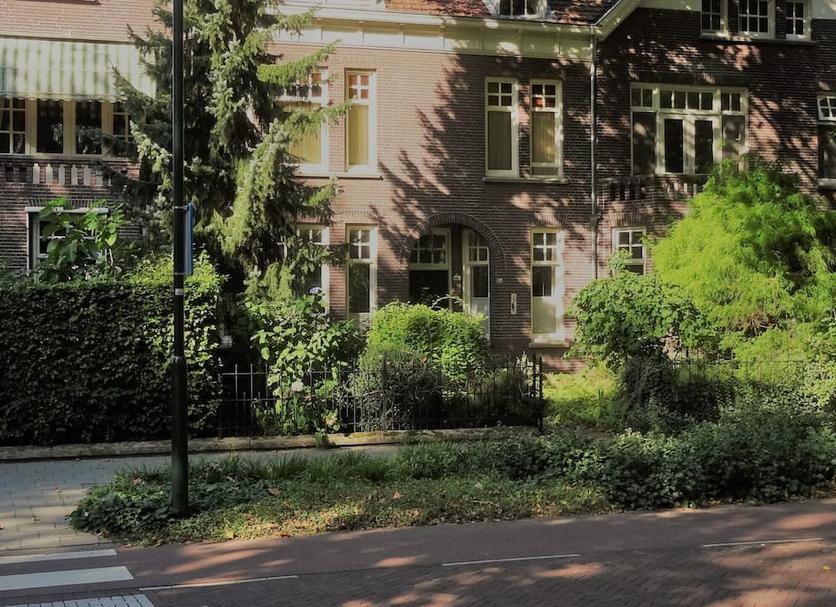 Utsikt Foto