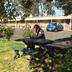 Annet
