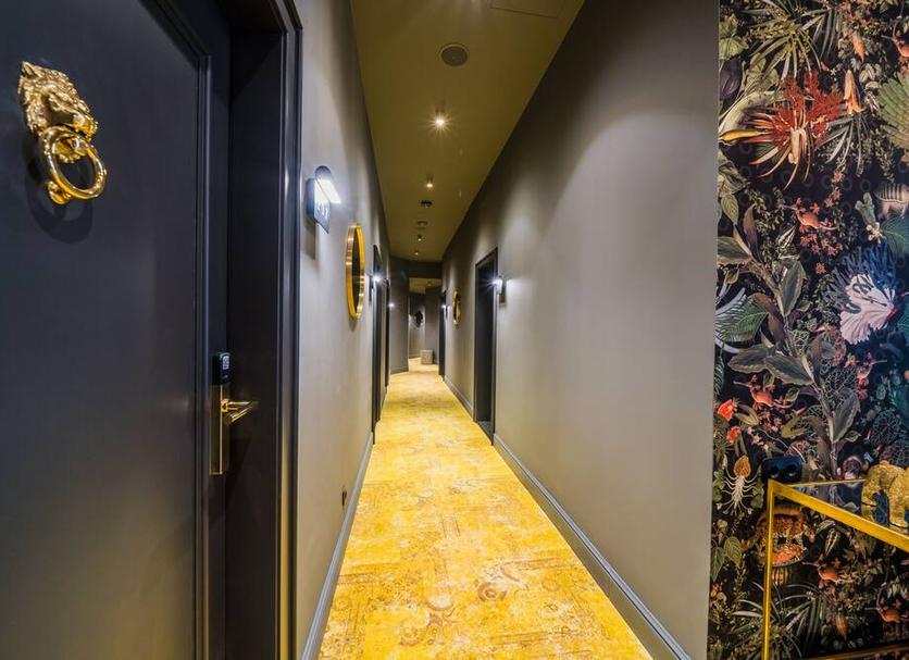 Hall Foto