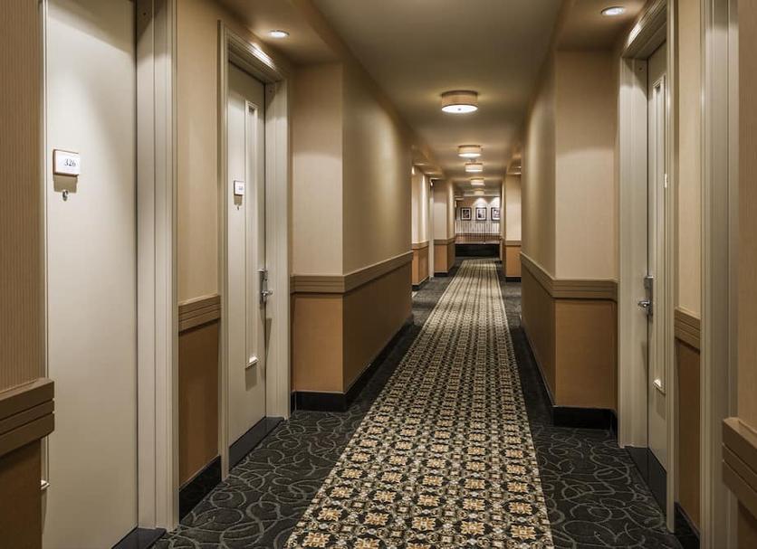 Hall Foto
