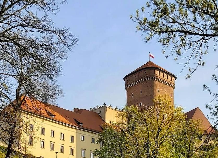 Utsikt Foto