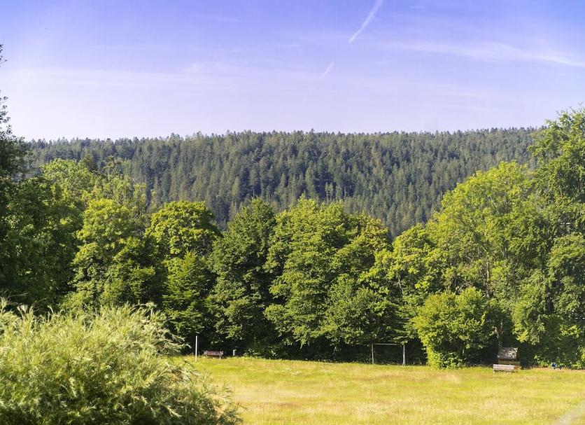 Utsikt Foto