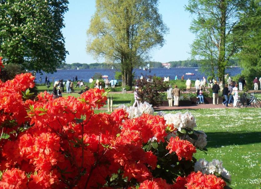 Utsikt Foto