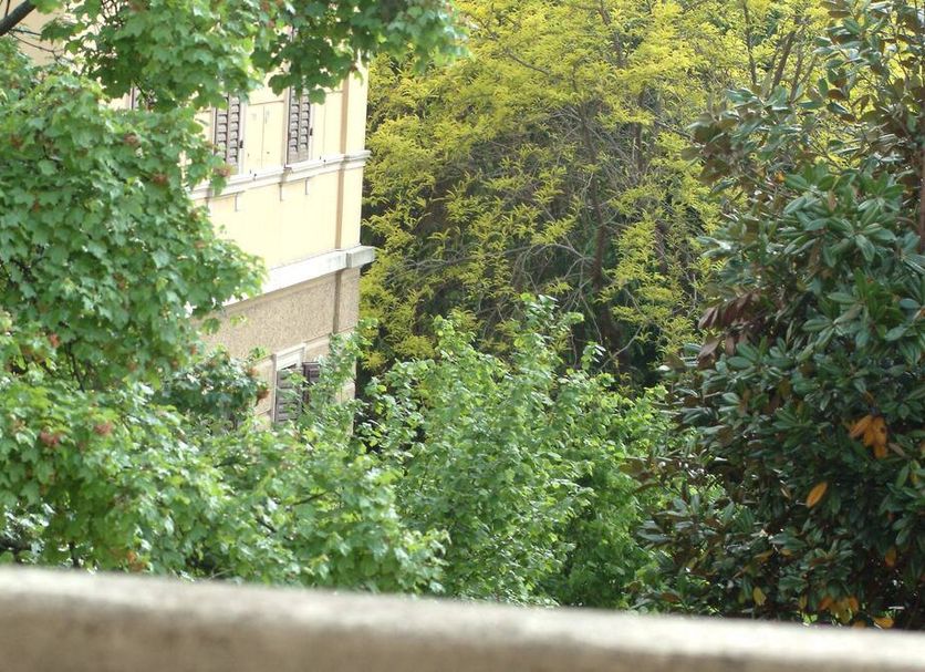 Utsikt Foto