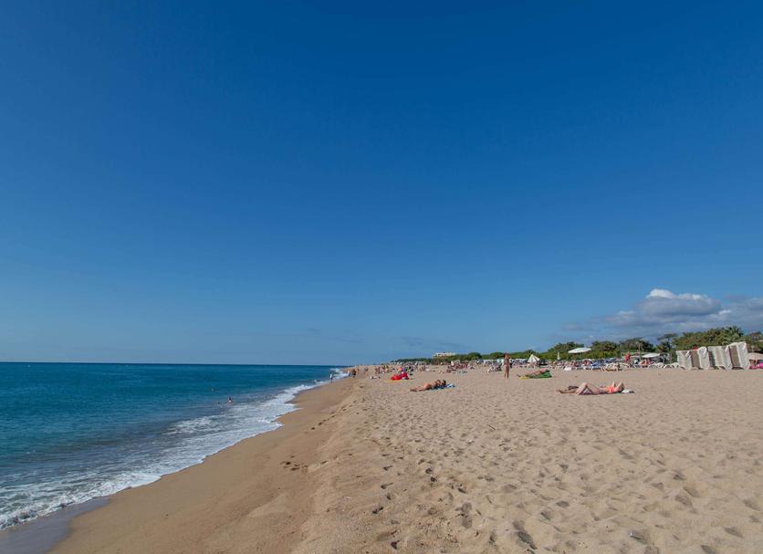 Strand Foto