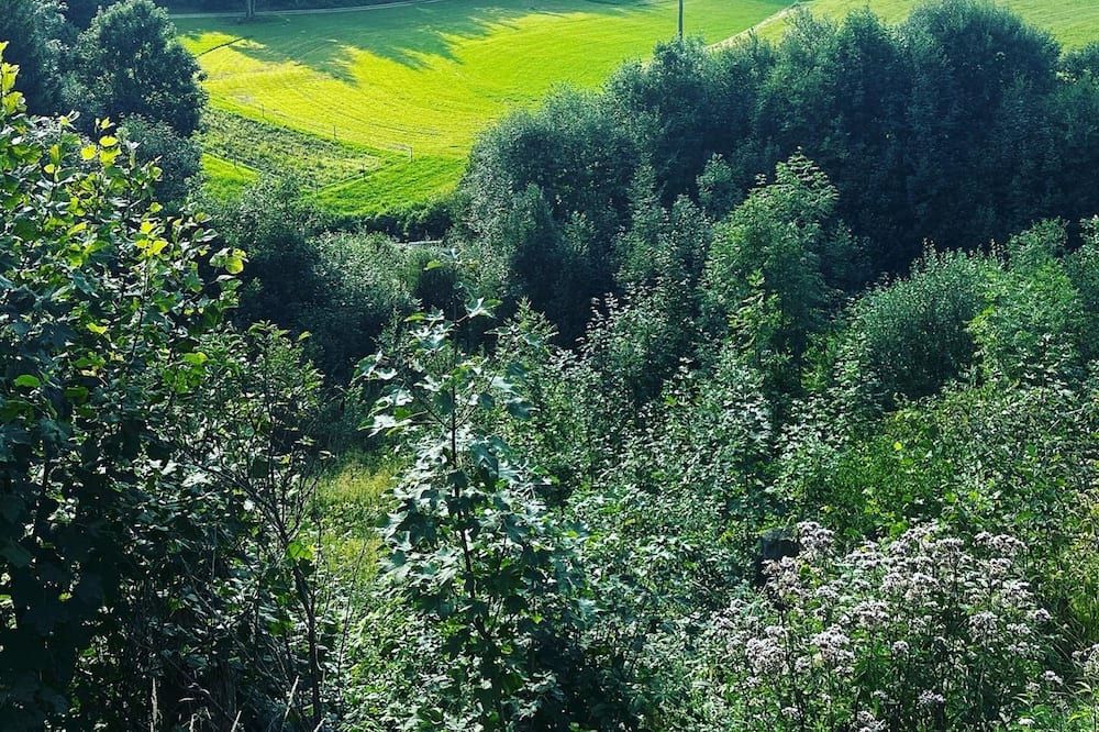 Utsikt Foto