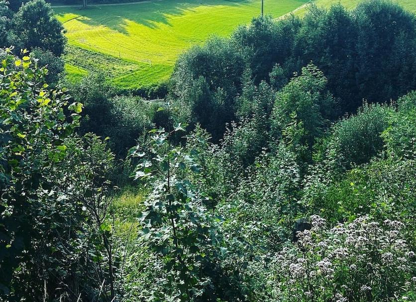 Utsikt Foto