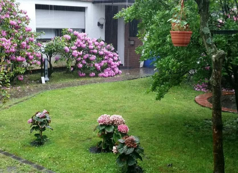 Utsikt Foto
