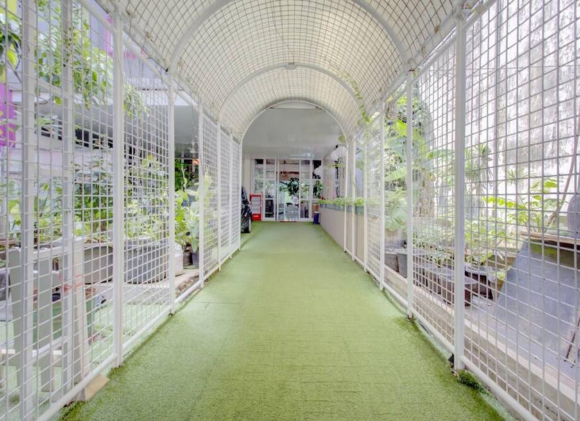 Hall Foto