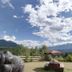 Annet