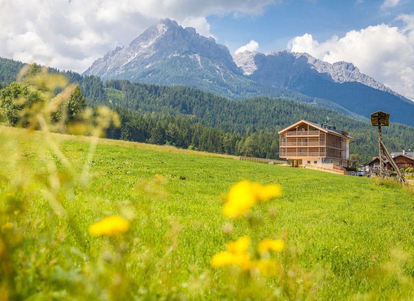 Utsikt Foto