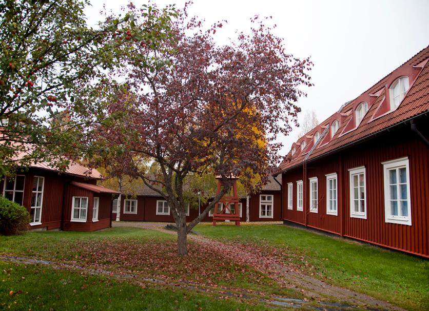 Utsikt Foto