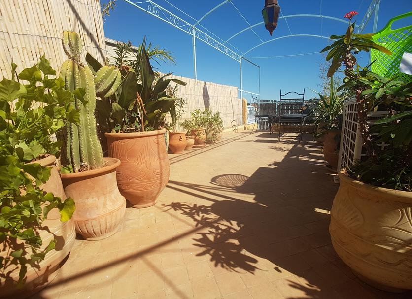 Takterrasse Foto